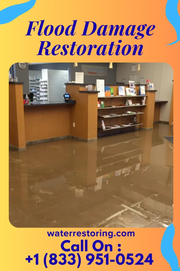 Flood Damage Restoration in Carlyss, LA