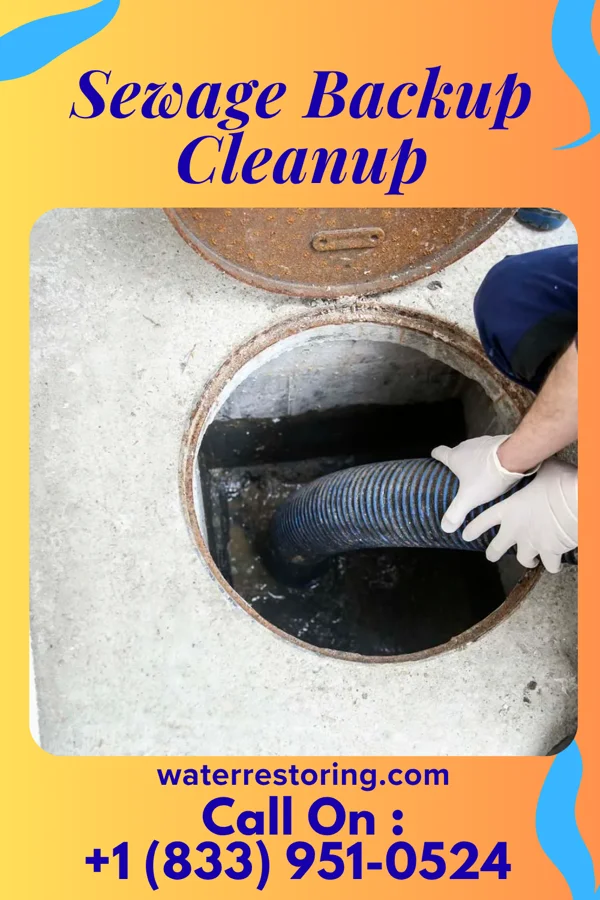 Sewage Backup Cleanup in Carlyss, LA